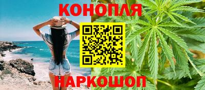 сатива Гудермес