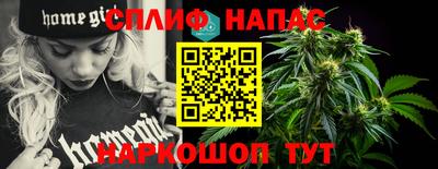 сатива Гудермес