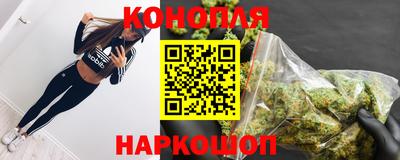 мяу мяу мука Гулькевичи