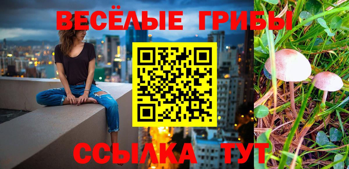 Галлюциногенные грибы Cubensis  Вход с VPN  Камышин  где можно купить   Псилоцибиновые грибы прущие грибы 
